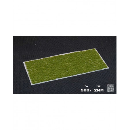 Touffes Tiny Tufts Dry Green - Gamers Grass