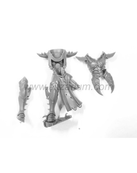 Corps d'Incubes Drukhari 3 Incubi