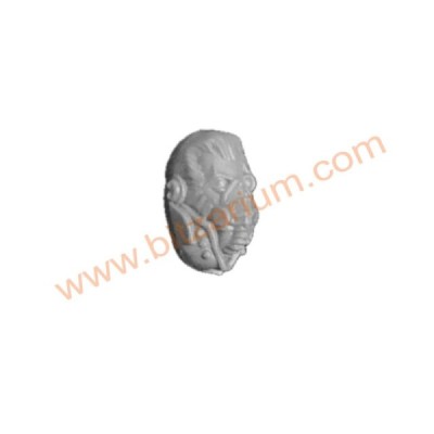 Tête nue Lasrifle Section