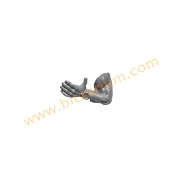 Bras gauche C - Ratling