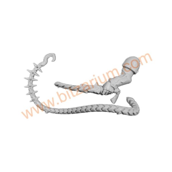 Fouet d’extase  - Tourmenteurs