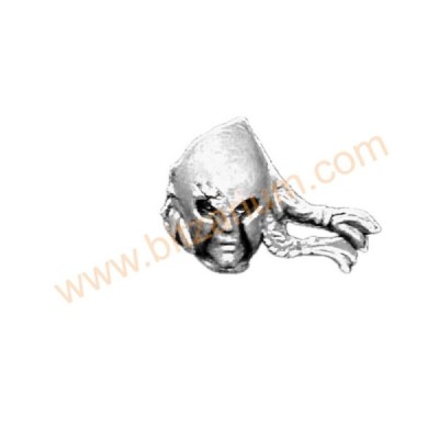 Tête nue B Gardes Sylvains