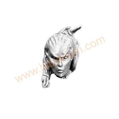 Tête nue C Gardes Sylvains