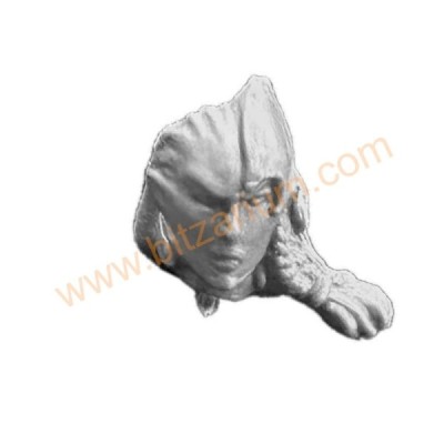 Tête nue E Gardes Sylvains