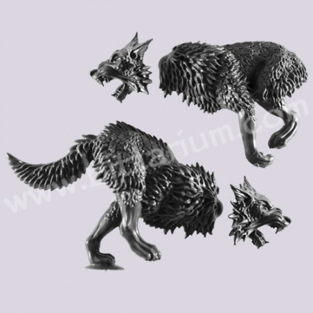 Fenrisian Wolf 2 - Fenrisian Wolves