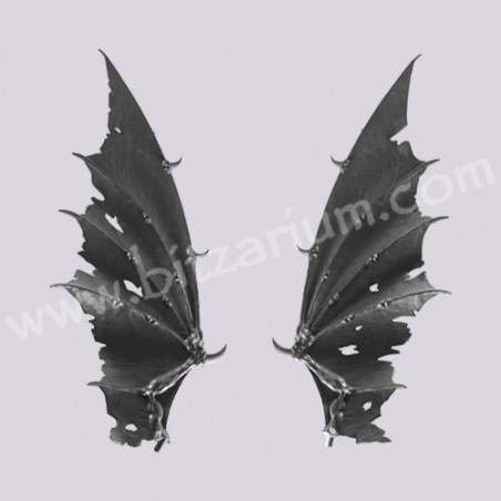 Dragon Wings - Dreadlord on Black Dragon
